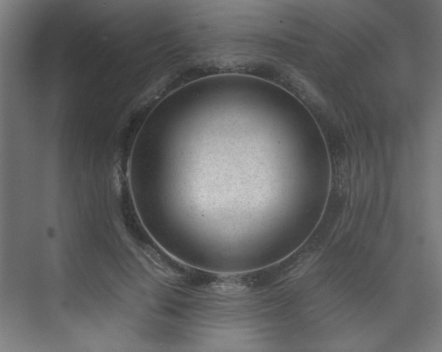 X0000074210644200608251104