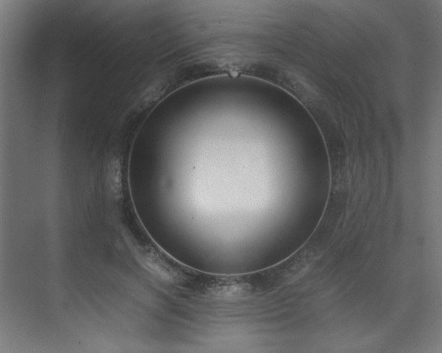 X0000074210646200608251104