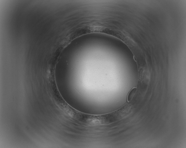 X0000074210655200608251104