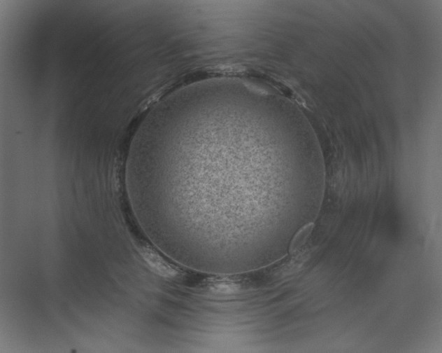 X0000074210658200608251104