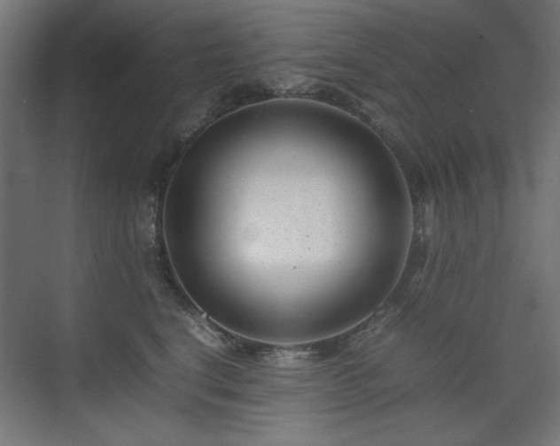 X0000074210664200608251104