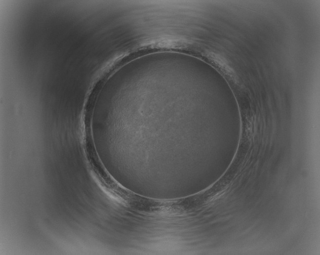 X0000074210678200608251103