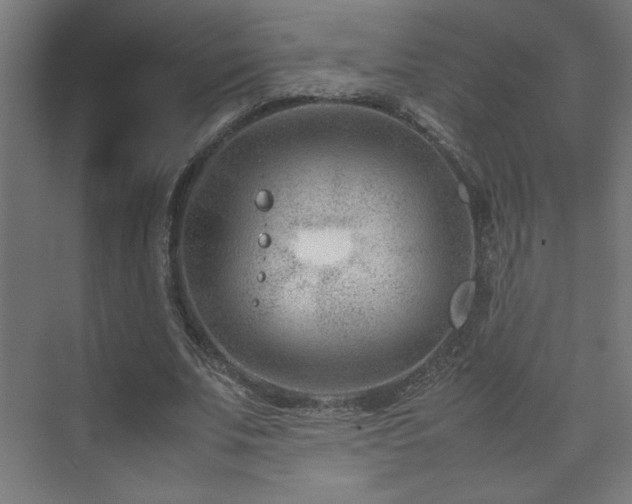 X0000074210679200608251103