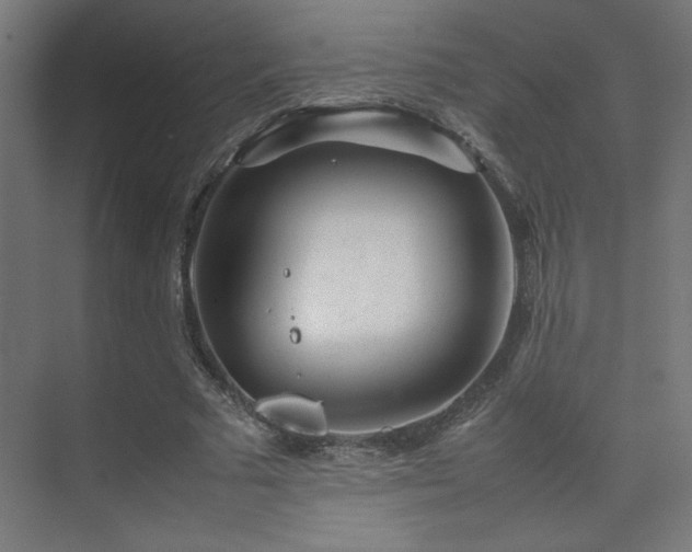 X0000074210681200608251103