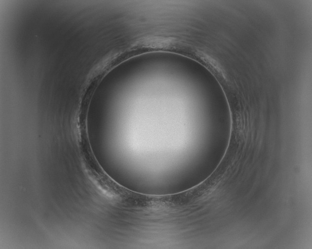 X0000074210682200608251103