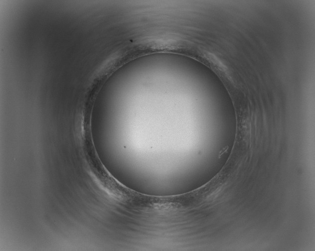 X0000074210686200608251103