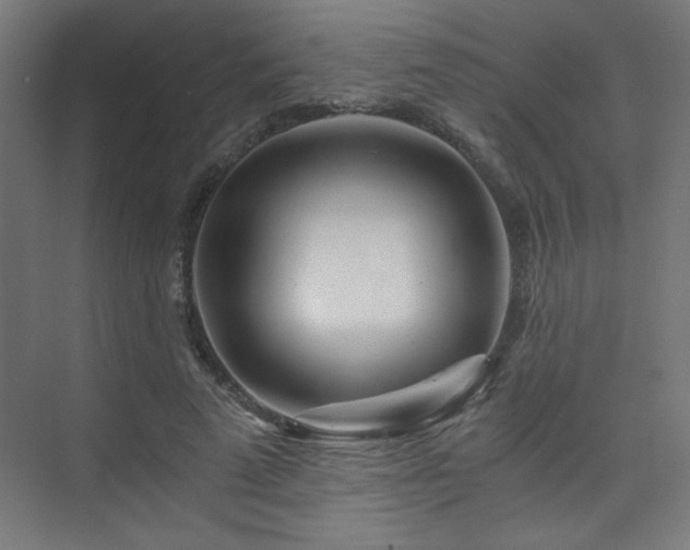 X0000074210689200608251103