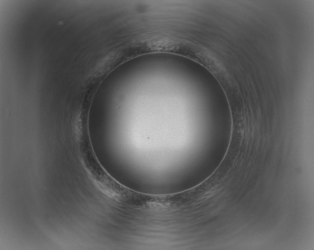 X0000074210690200608251103