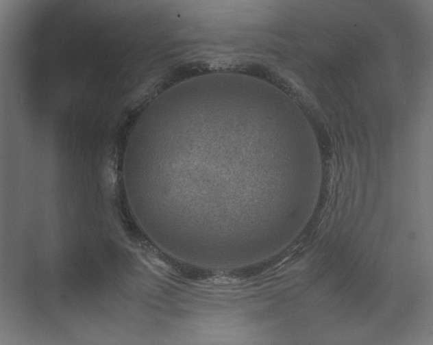 X0000074210691200608251103