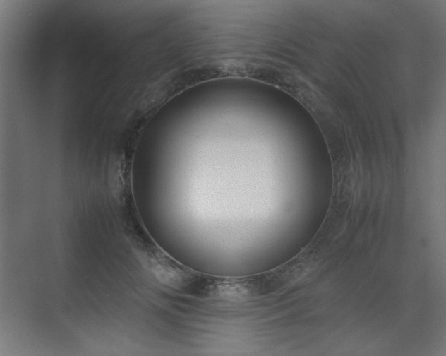 X0000074210702200608251103