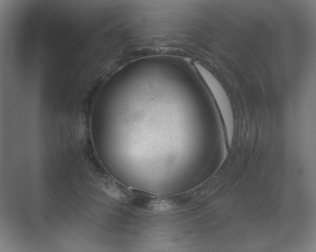 X0000074210704200608251103