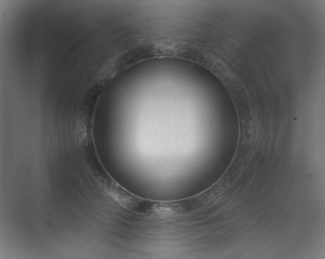 X0000074210706200608251103