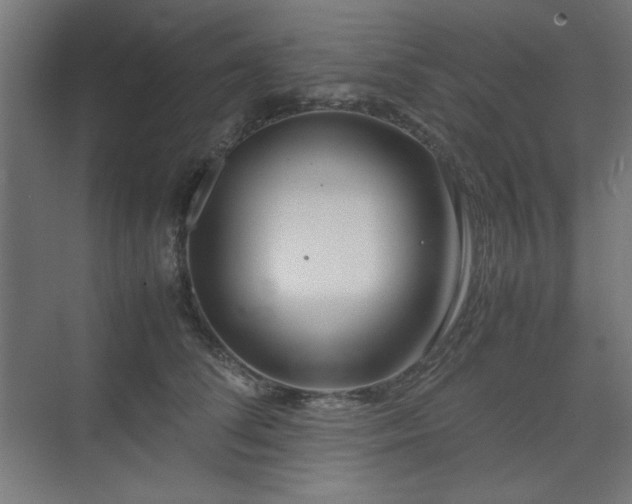 X0000074210708200608251103