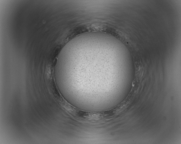 X0000074210709200608251103