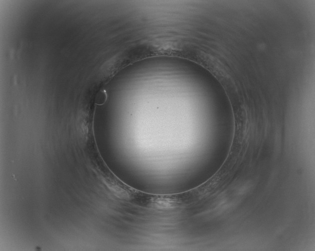 X0000074210710200608251103