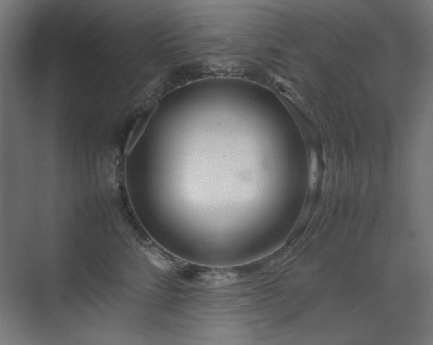 X0000074210712200608251103