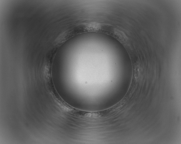 X0000074210714200608251103