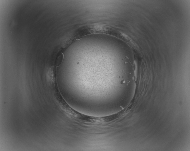 X0000074210715200608251103