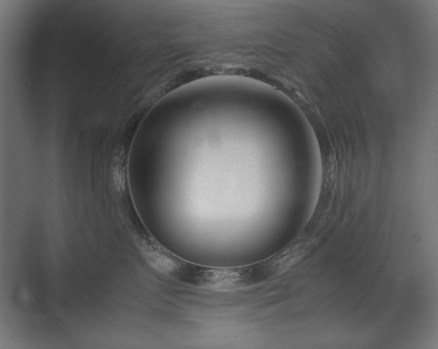 X0000074210719200608251103