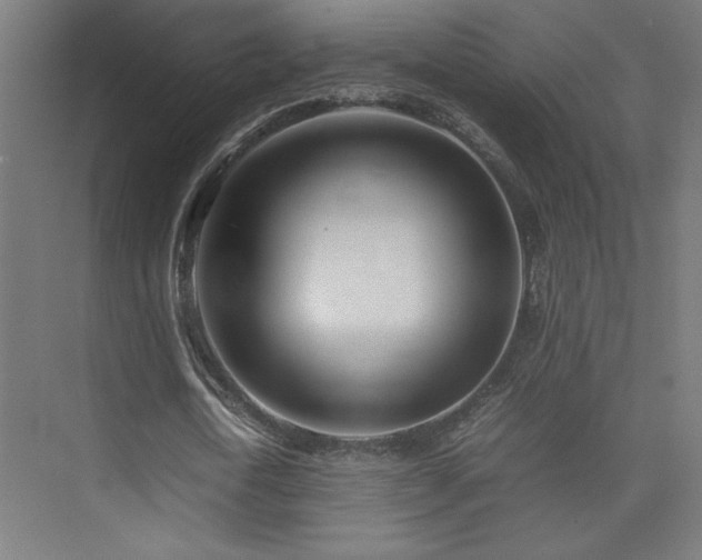 X0000074210722200608251102