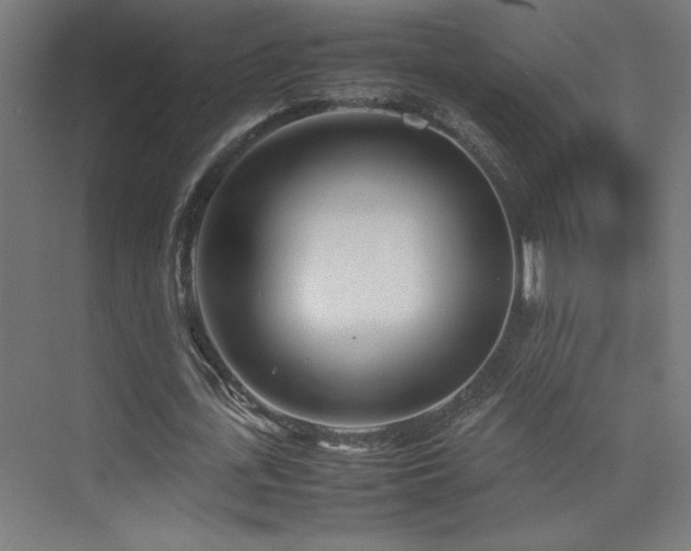 X0000074210723200608251102