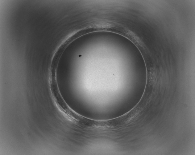 X0000074210726200608251102