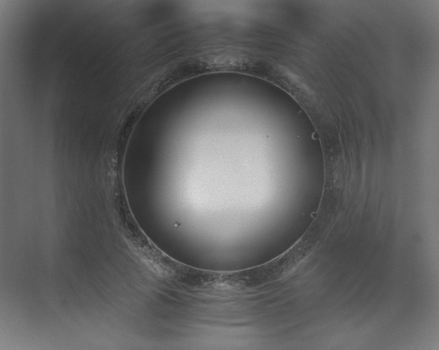X0000074210737200608251102