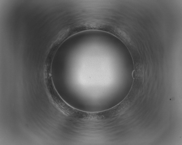 X0000074210738200608251102