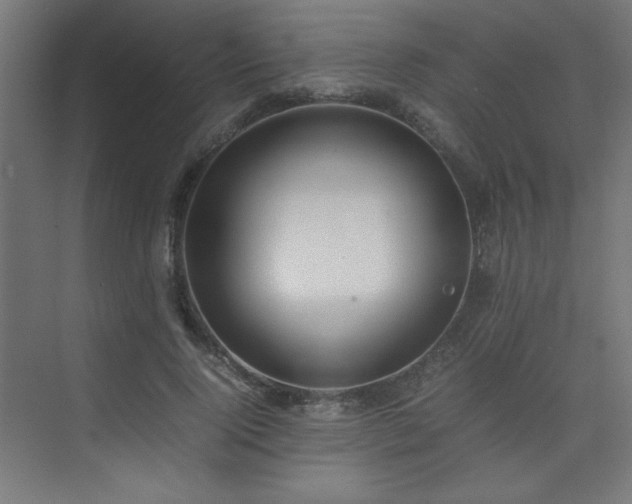X0000074210740200608251102