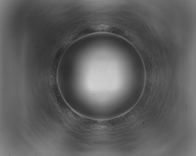X0000074210743200608251102