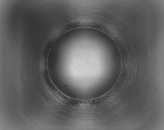 X0000074210744200608251102