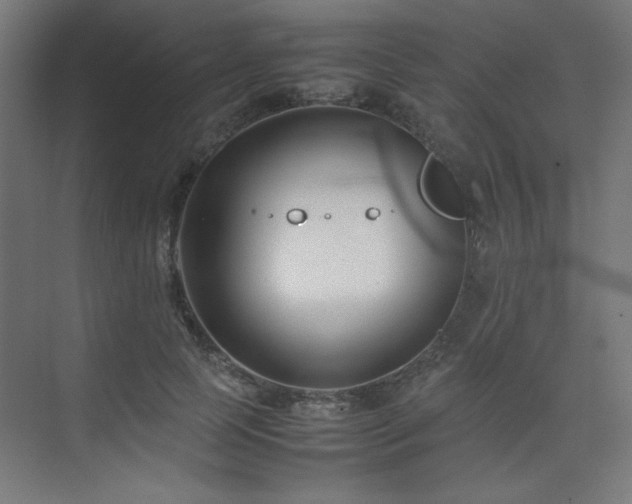 X0000074210745200608251102