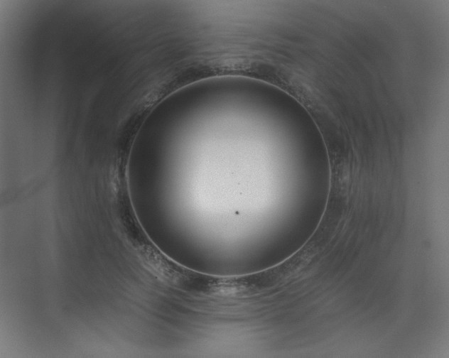 X0000074210746200608251102