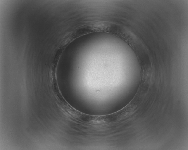 X0000074210749200608251102