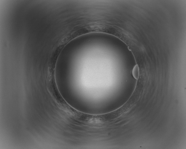 X0000074210751200608251102
