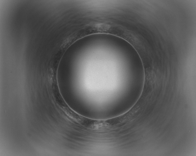 X0000074210752200608251102