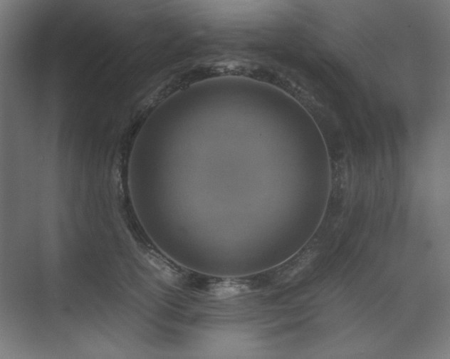 X0000074210754200608251102
