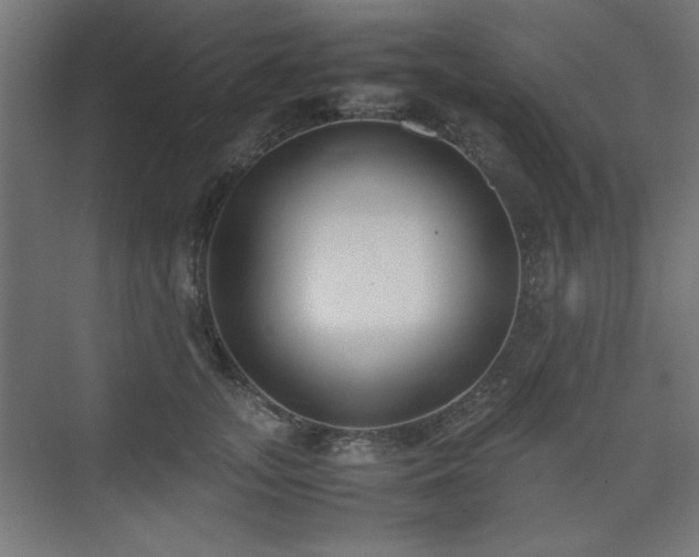 X0000074210755200608251102
