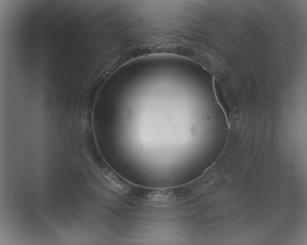 X0000074210756200608251102