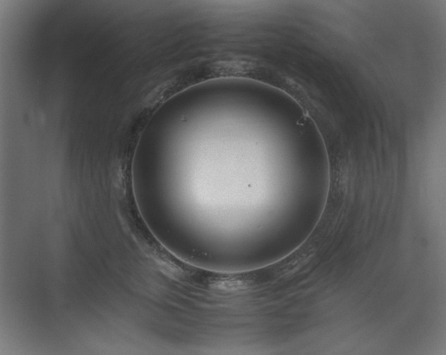 X0000074210759200608251102