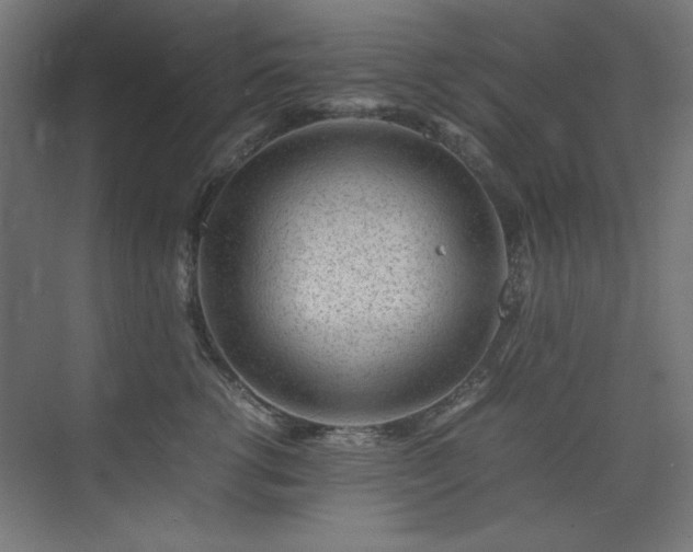X0000074210762200608251102
