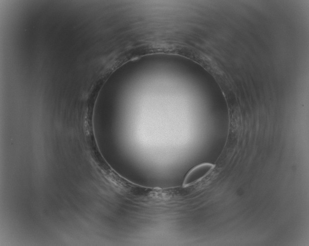 X0000074210764200608251102