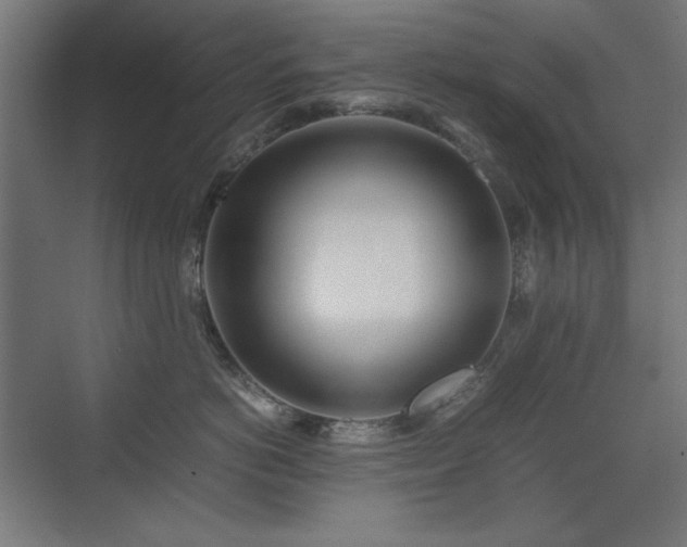 X0000074210766200608251102
