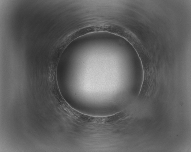 X0000074210773200608251102