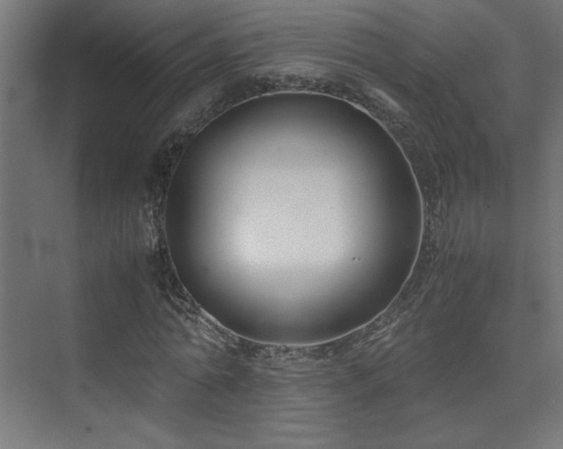 X0000074210774200608251102