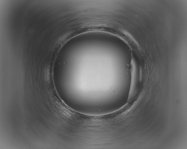 X0000074210777200608251102