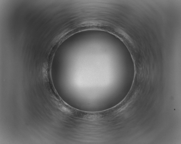 X0000074210778200608251102