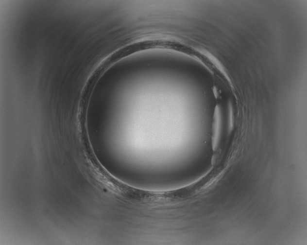 X0000074210783200608251101
