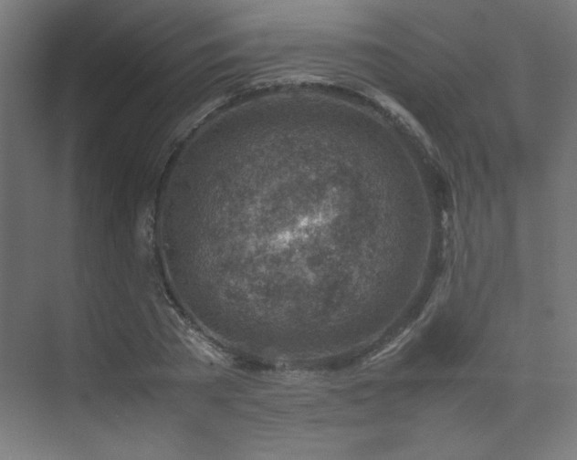 X0000074210785200608251101