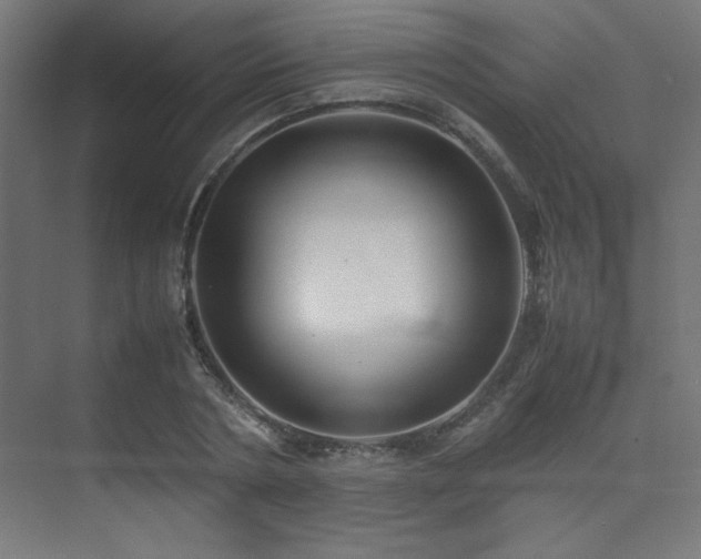 X0000074210786200608251101